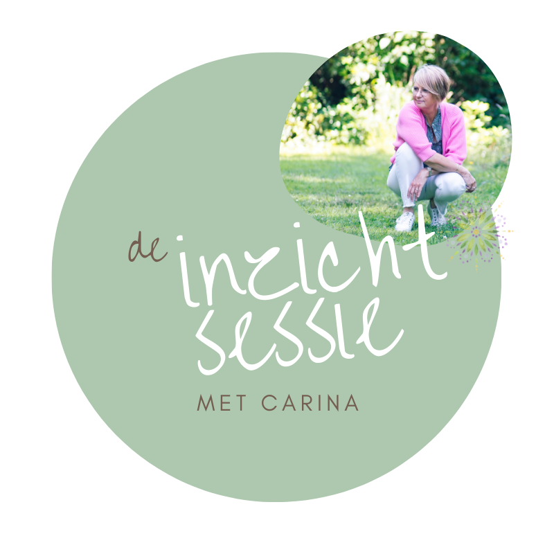 Inzicht sessie Carina Lucassen