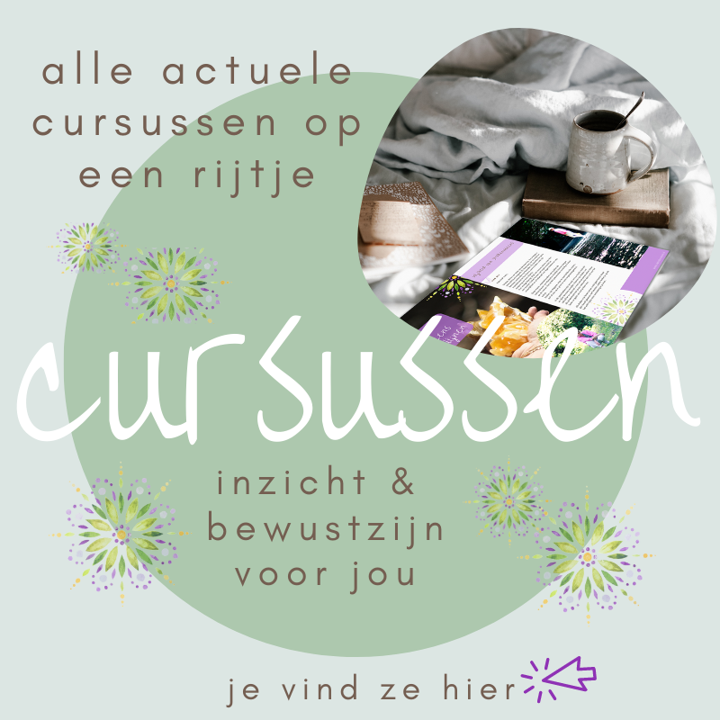 actuele cursussen carina lucassen