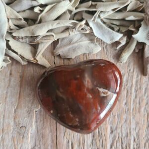 Versteend hout hartjes
