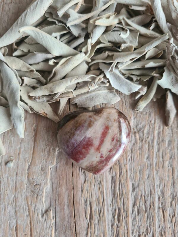 Versteend hout hartje 4 x 3 cm