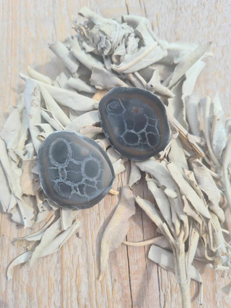 Septarie geode paar