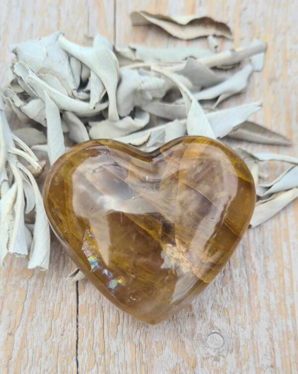 Golder Healer hart
