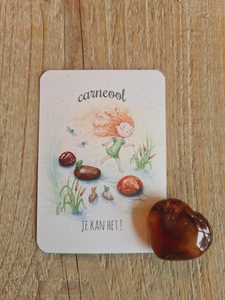Knuffelsteen pakketje Carneool