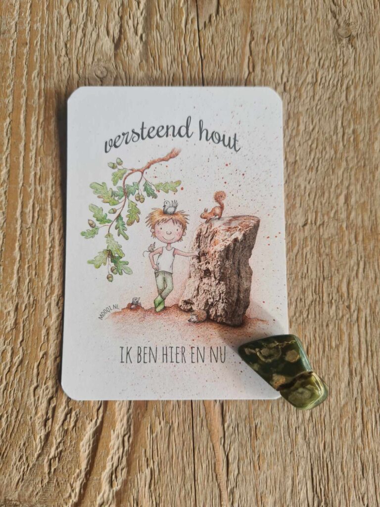 Knuffelsteen pakketje versteend hout