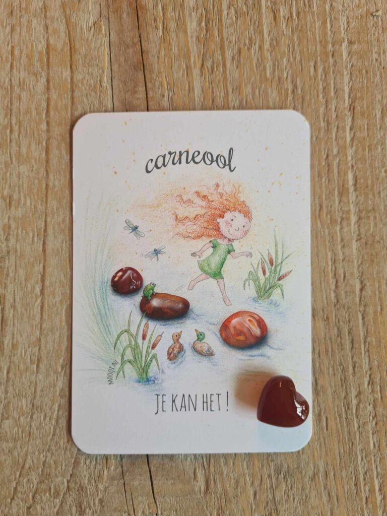 Knuffelsteen pakketje Carneool
