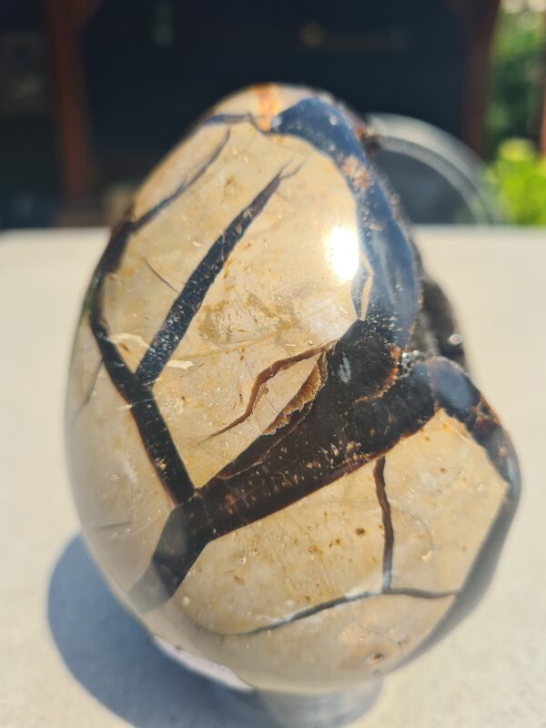 Septarie ei (Dragon egg) 1355 gram - Afbeelding 2
