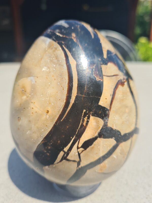Septarie ei (Dragon egg) 1355 gram - Afbeelding 3