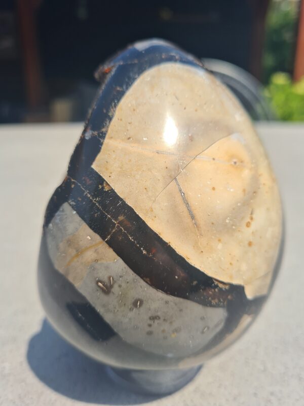 Septarie ei (Dragon egg) 1355 gram - Afbeelding 4