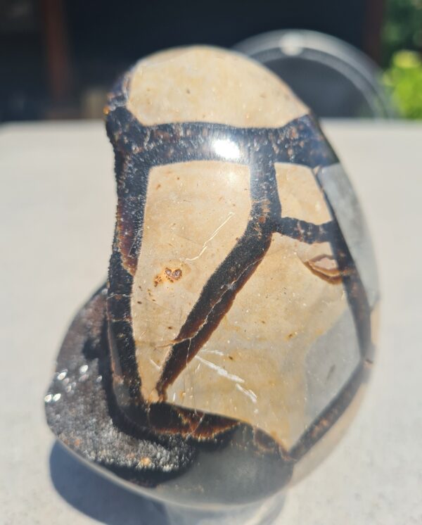 Septarie ei (Dragon egg) - Afbeelding 2