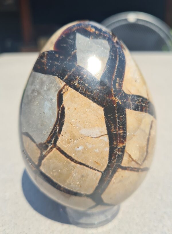 Septarie ei (Dragon egg) - Afbeelding 3
