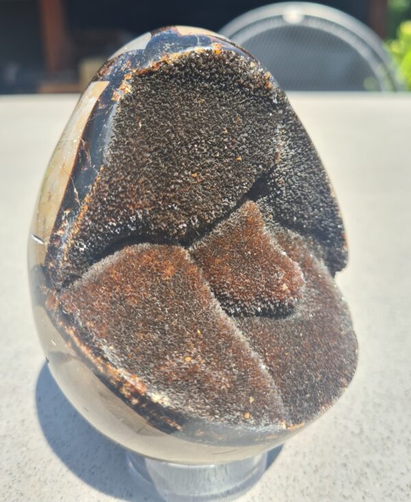 Septarie ei (Dragon egg) - Afbeelding 5