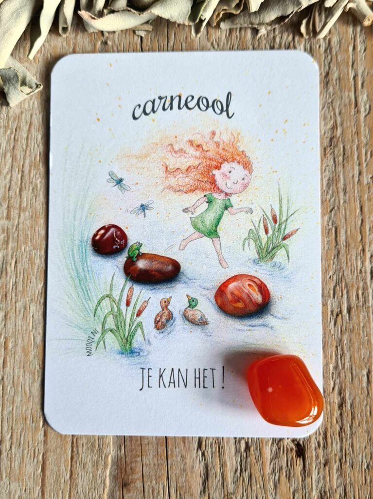 Mooqi Edelsteen pakketje Carneool