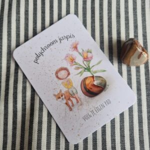 Mooqi edelsteen pakketje Polychroom Jaspis