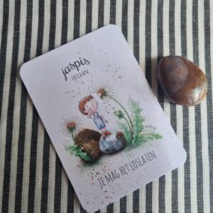 Mooqi knuffelsteen pakketje Oceaan Jaspis