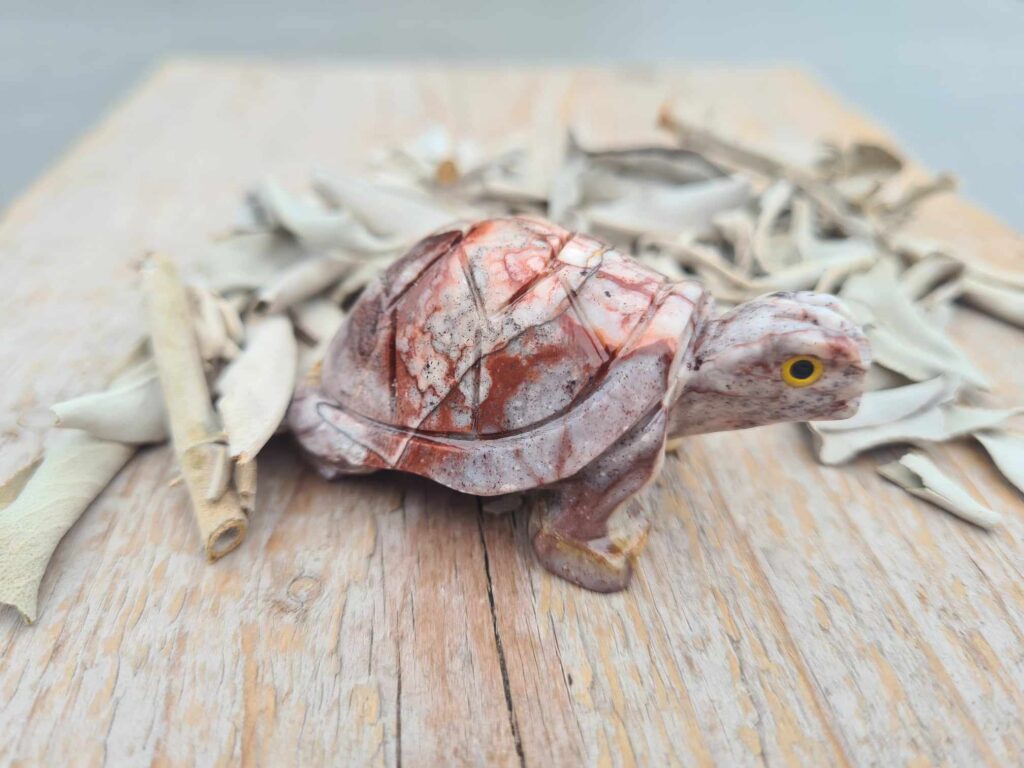 Speksteen schildpad