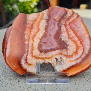 Carneool Schijf 11 x  8 cm