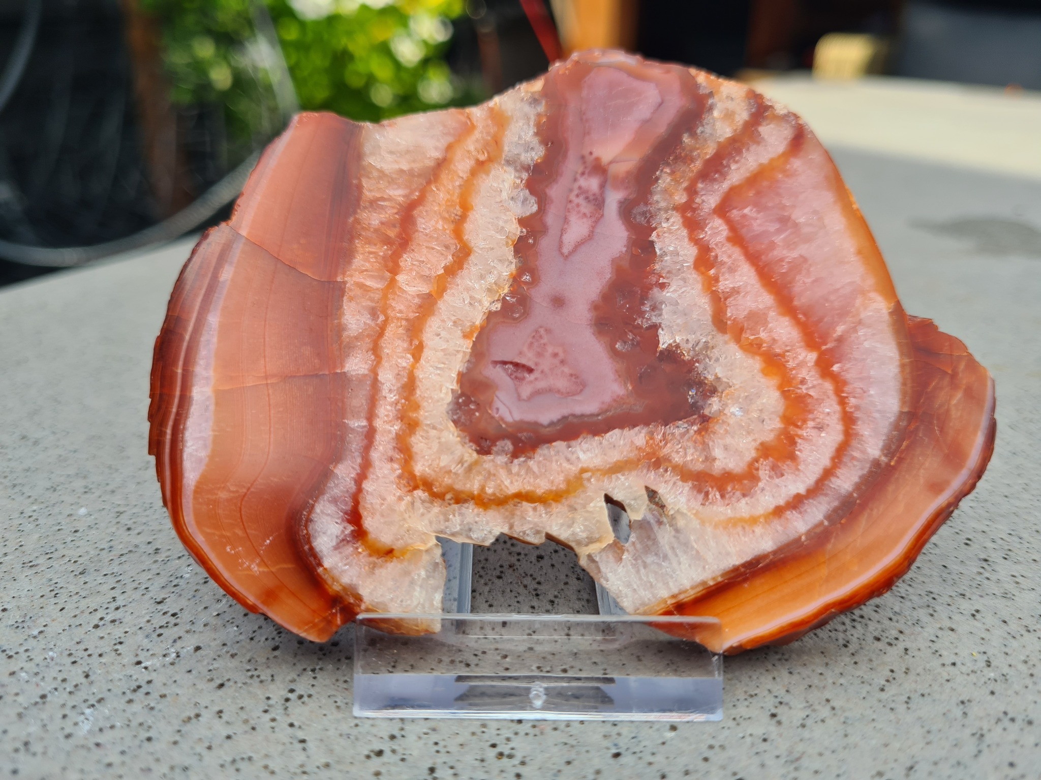 Carneool Schijf 11 x  8 cm