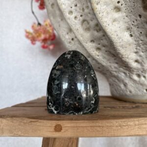 Oceaan Jaspis sculptuur