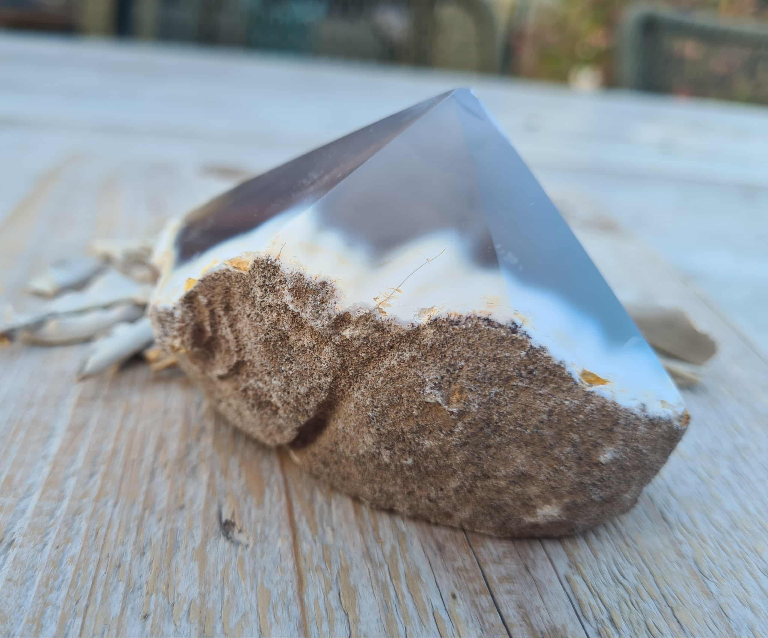 Agaat punt 258 gram - Afbeelding 2