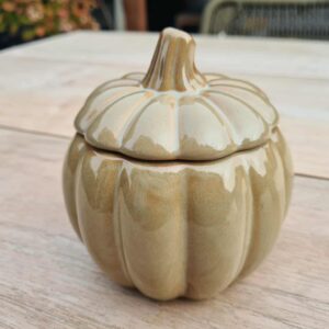 Pompoen met kaars en Rode Jaspis steentjes (beige)