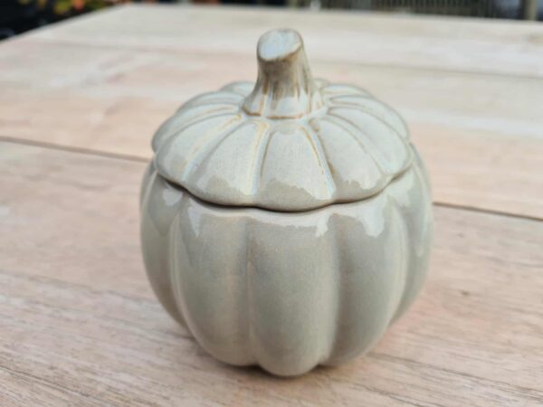 Pompoen met kaars en Rode Jaspis steentjes (grijs)