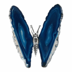 Agaata vlinder blauw