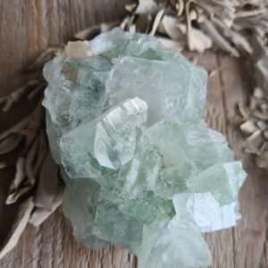 Zeegroene apofylliet