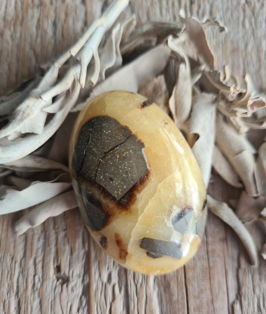 Septarie